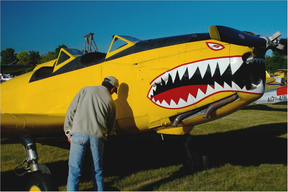 PT-19 with shark's teeth
