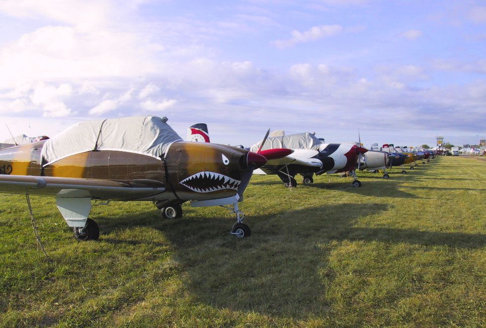 Row of T-34 Mentors