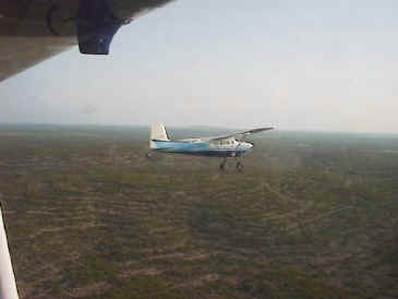 C-180 flyin' low